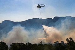 В Турции более тысячи человек эвакуировали из-за сильного природного пожара