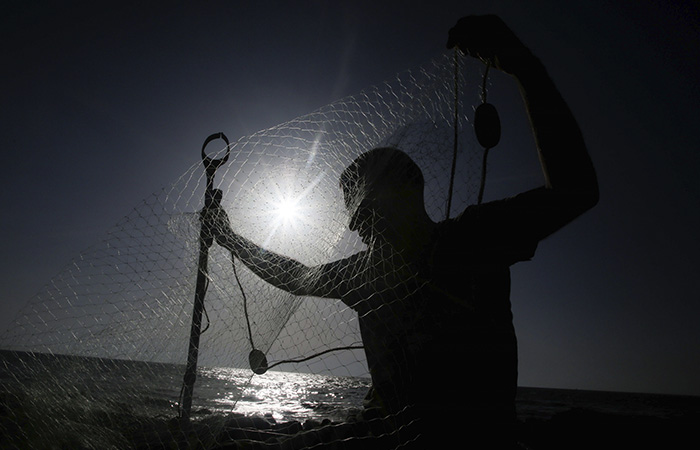 Росрыболовство задумалось о возможности ограничения экспорта красной икры и красной рыбы