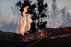 Лесные пожары в Рязанской и Ивановской областях ликвидированы