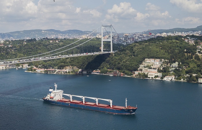 2,5 млн тонн украинского зерна экспортировано в рамках стамбульской продуктовой сделки