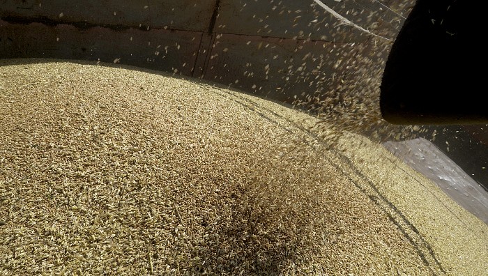 На консультациях между РФ и ООН обсудили проблемы экспорта удобрений и продовольствия