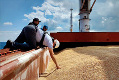 Гутерриш обсудил с Путиным вывоз зерна с Украины и экспорт продовольствия из России