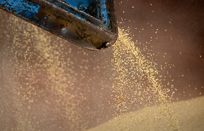 ЕЭК предложила сделать биржевыми товарами в ЕАЭС газ, металлы и зерно