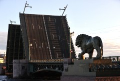 Львов с Дворцовой пристани и сфинксов Египетского моста в Петербурге отреставрируют