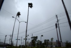 Ливни и сильный ветер обрушились на японский остров Кюсю