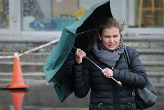 Шквалистый ветер повалил деревья в Москве