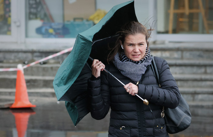 Шквалистый ветер повалил деревья в Москве