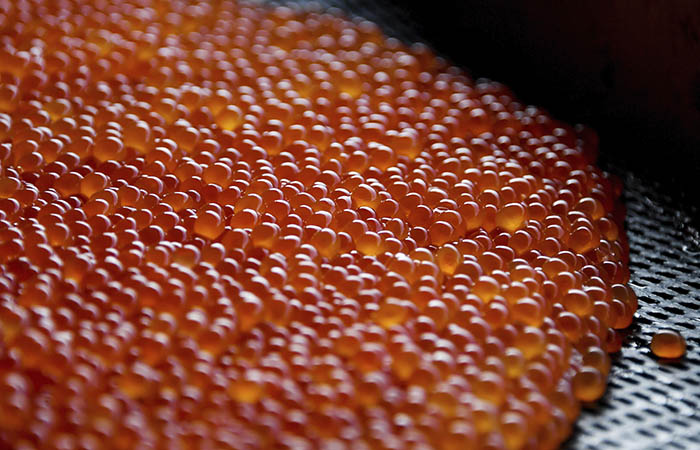 В Росрыболовстве ждут снижения производства красной икры в РФ в 2022 г. до 8-9 тыс. т