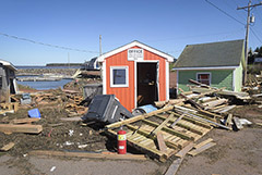 В Канаде задействовали военных для ликвидации последствий шторма "Фиона"