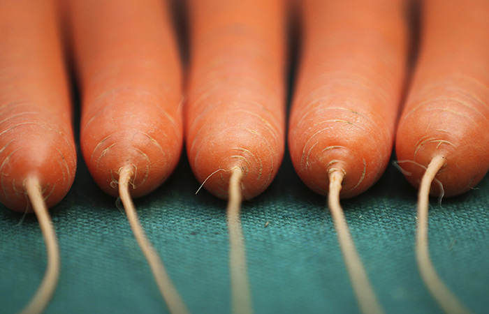 Что произошло в мире науки. Вечерний дайджест