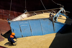 Путин сообщил, что РФ в этом году может собрать рекордные 150 млн тонн зерна