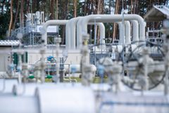 МВД Германии сообщило о месяцах подготовки к защите объектов энергетики от угроз