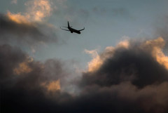 Ограничения на полеты в южные аэропорты РФ продлены до 10 октября