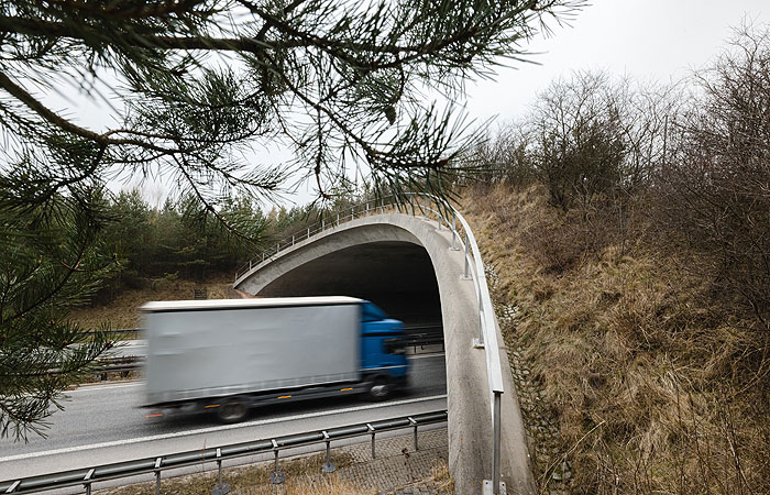 Правительство РФ ввело контрсанкции против иностранных транспортных компаний