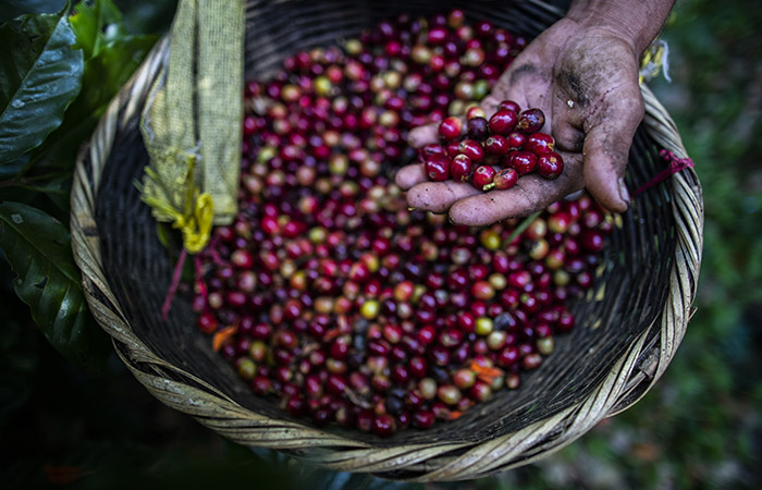 Что произошло в мире науки. Вечерний дайджест