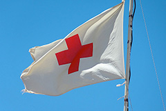 Красный Крест временно сократил работу на Украине по соображениям безопасности