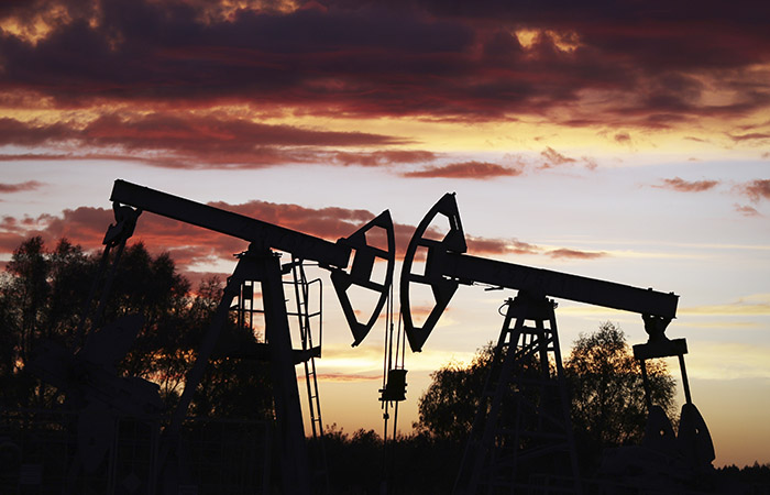 Новак ожидает роста экспорта российской нефти на 8% в 2022 году