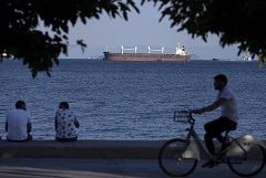 Более 7,5 млн тонн украинского продовольствия экспортировано в рамках черноморской инициативы