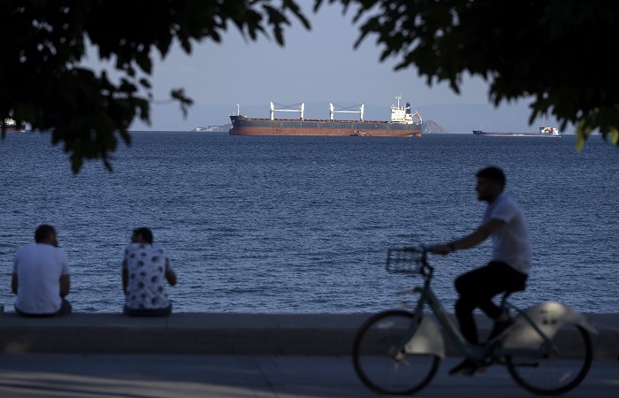 Более 7,5 млн тонн украинского продовольствия экспортировано в рамках черноморской инициативы