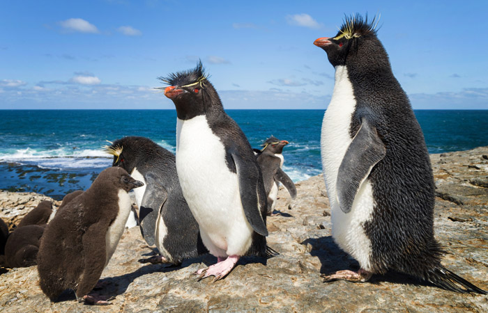 Что произошло в мире науки. Вечерний дайджест