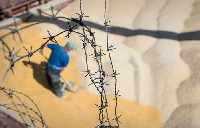 Минсельхоз предложил квоту на экспорт зерна в 25,5 млн т