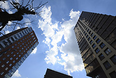 Росреестр предложил разрешать физлицам сделки с недвижимостью только при согласии супруга