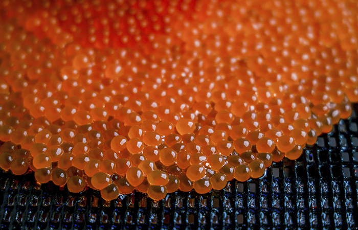 Росрыболовство сообщило об интенсивной проработке идеи о маркировке икры