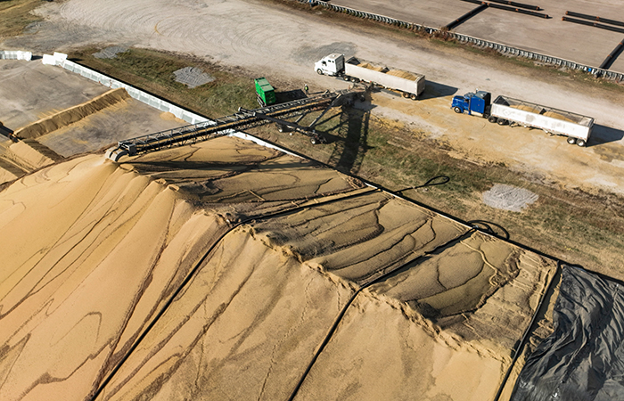 Париж работает над возможностью вывоза зерна с Украины сухопутными путями