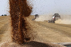 В ООН надеются на возвращение России в "зерновую сделку"