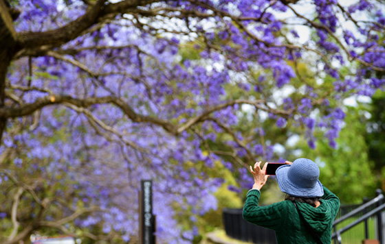 Фотохроника 8 ноября