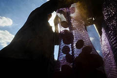 Минсельхоз ожидает достижения продбезопасности по картофелю в 2022 году