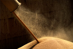 МИД РФ заявил, что Россия допускает техническое продление "зерновой сделки"