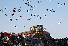 Жильцам многоквартирных домов сократят счета за вывоз мусора в случае отъезда