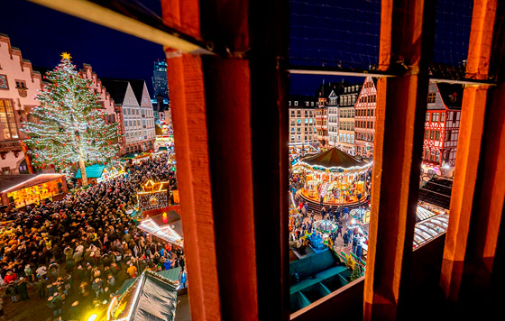 Фотохроника 22 ноября