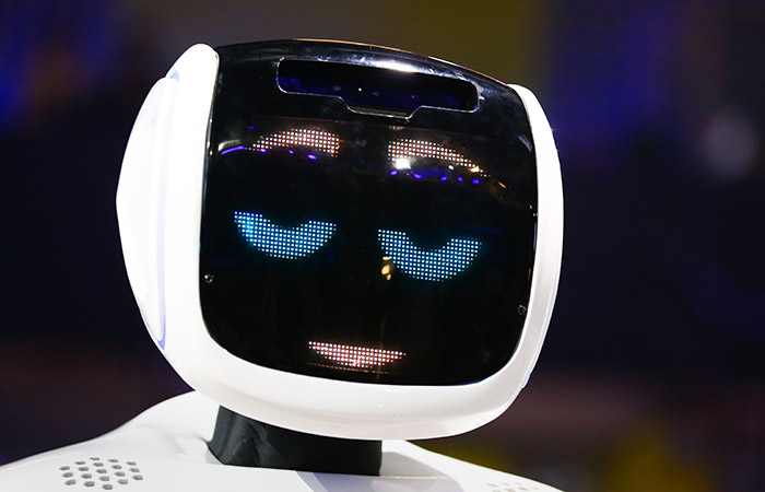 Путин поручил кабмину РФ разработать федеральный проект по развитию робототехники