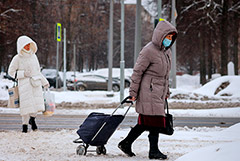 Пенсии неработающих пенсионеров в России с 1 января проиндексируют на 4,8%