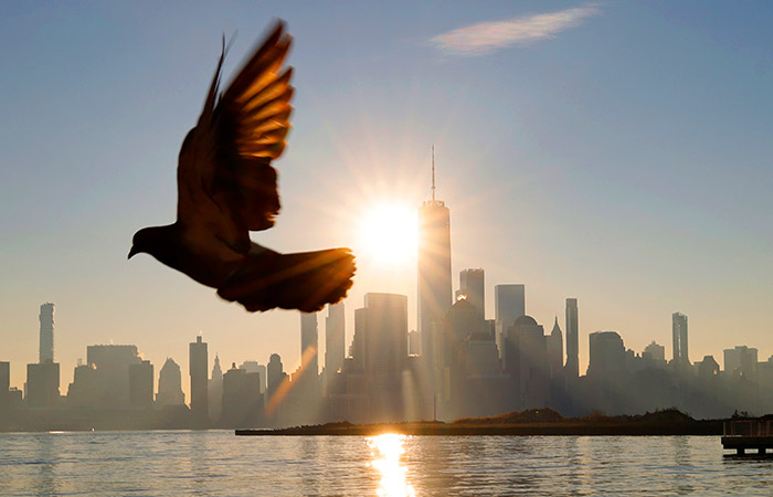 Что произошло в мире науки. Вечерний дайджест