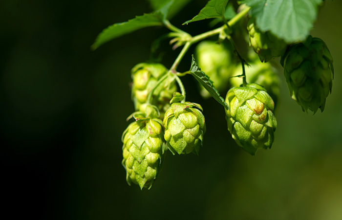 Что произошло в мире науки. Вечерний дайджест