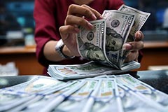 Россияне с начала 2022 года купили доллары и евро на 230 млрд рублей