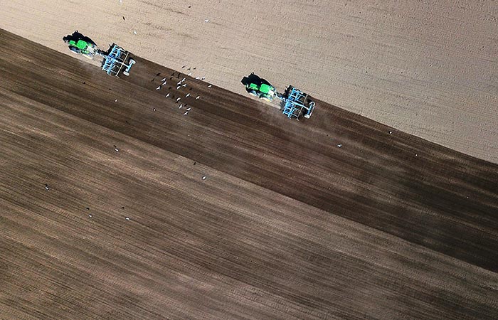 Минсельхоз не ожидает снижения посевных площадей в 2023 году