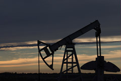 Новак назвал театром абсурда информацию о запросе Польши на прокачку нефти РФ в 2023 г.