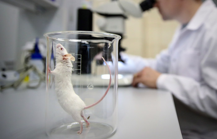 Российские ученые разработали быстрый способ доставки лекарств в опухоль