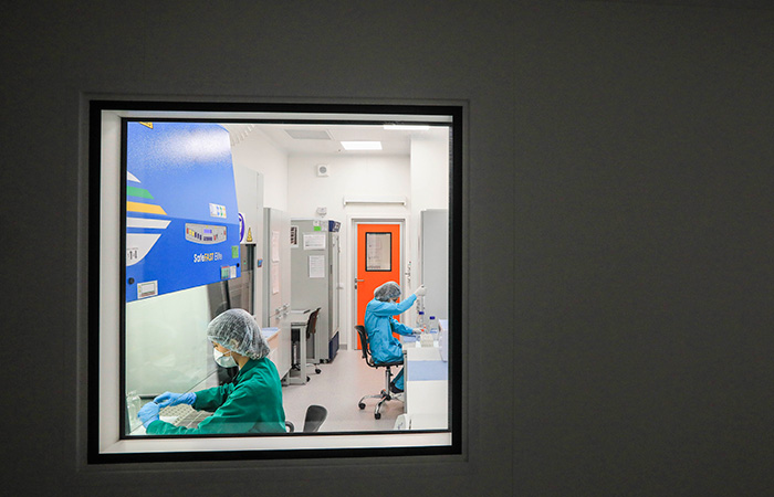 "Свиной грипп" выявлен в 74 регионах России