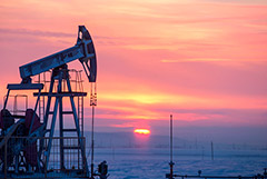 Добыча нефти с конденсатом в России за 11 месяцев выросла на 2,2%