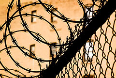 В Белоруссии планируют ввести смертную казнь для чиновников и военных за госизмену