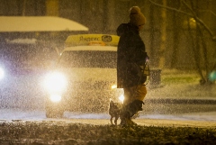 Спасатели предупредили жителей Москвы о мокром снеге до утра воскресенья
