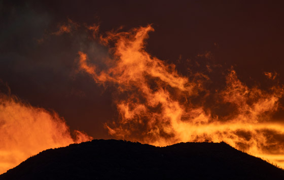 Фотохроника 13 декабря