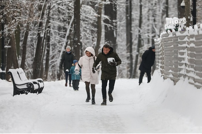 Снежный покров в Москве за сутки вырос до 33 см
