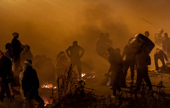 Фотохроника 20 декабря