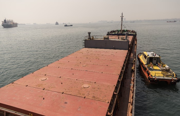 Пять судов доставят продовольствие из Украины в Тунис, Ливию, Кению, Турцию и Испанию